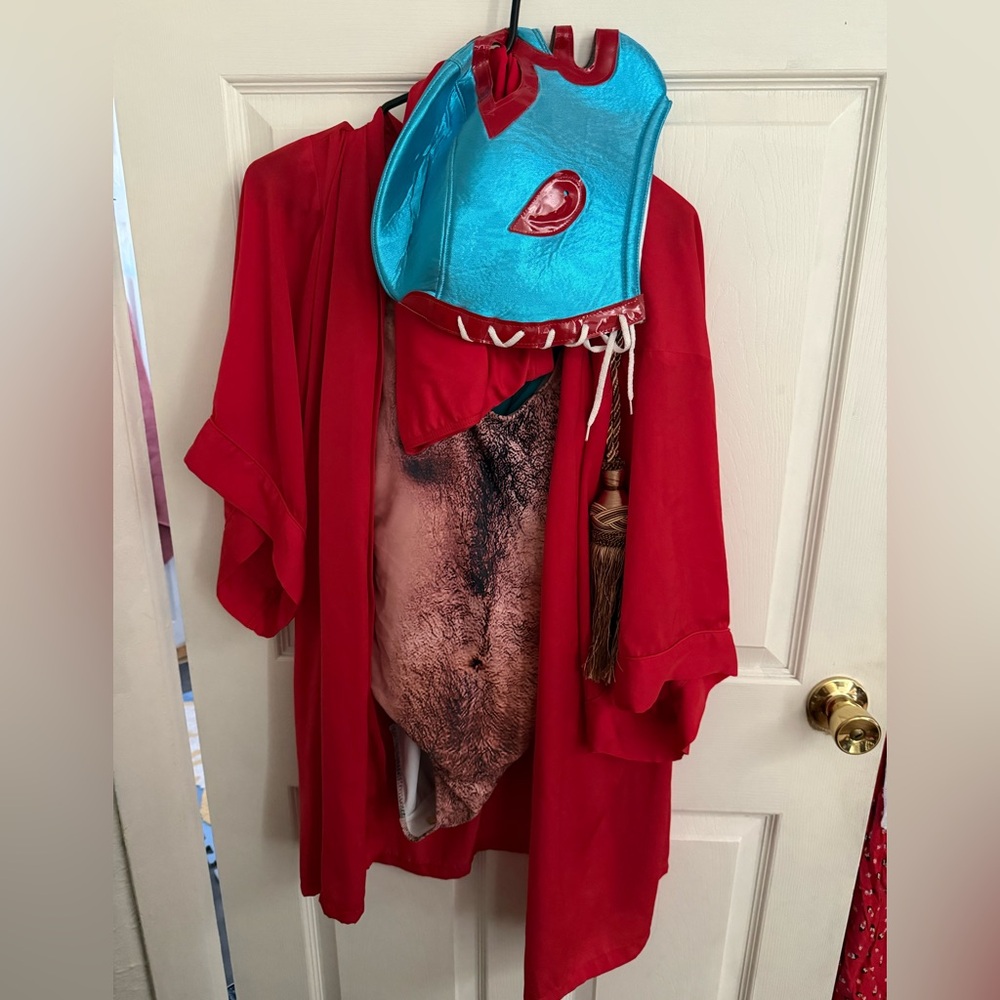 Nacho Libre Luchador Costume